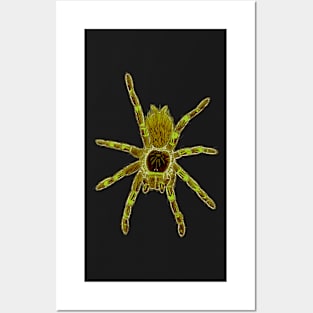 Tarantula Only “Vaporwave” V25 (Invert) Posters and Art